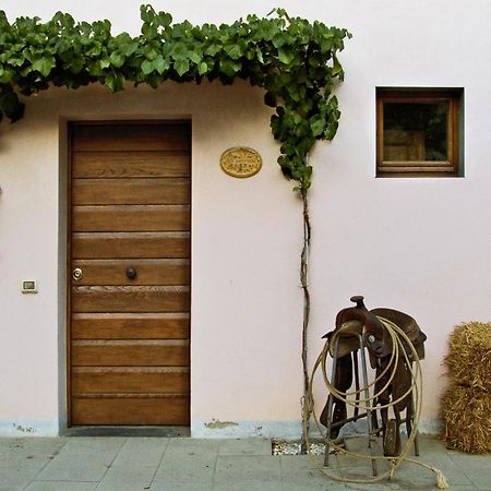 Appartamenti Agriturismo La Canonica Certaldo Bagian luar foto
